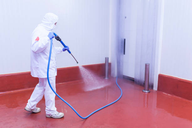 Best Building Exterior Washing  in Kingwood, WV