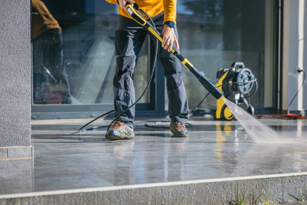 Best Driveway Pressure Washing  in Kingwood, WV