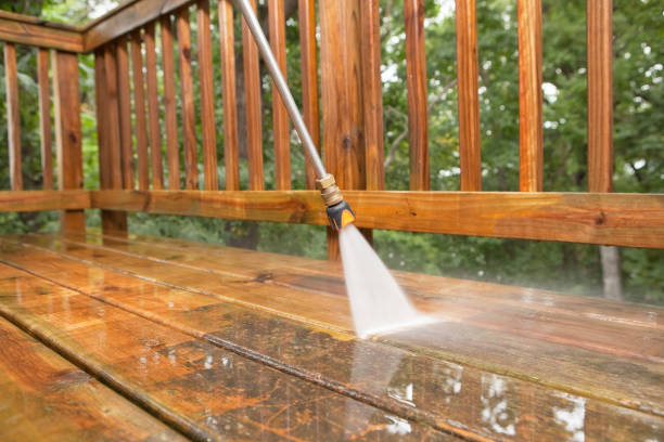 Best Pool Deck Cleaning  in Kingwood, WV